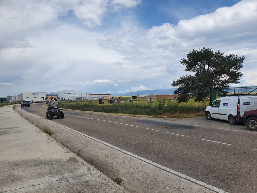 'Chotos' escapados tras un accidente en Cantimpalos (fotos)  / El Día de Segovia