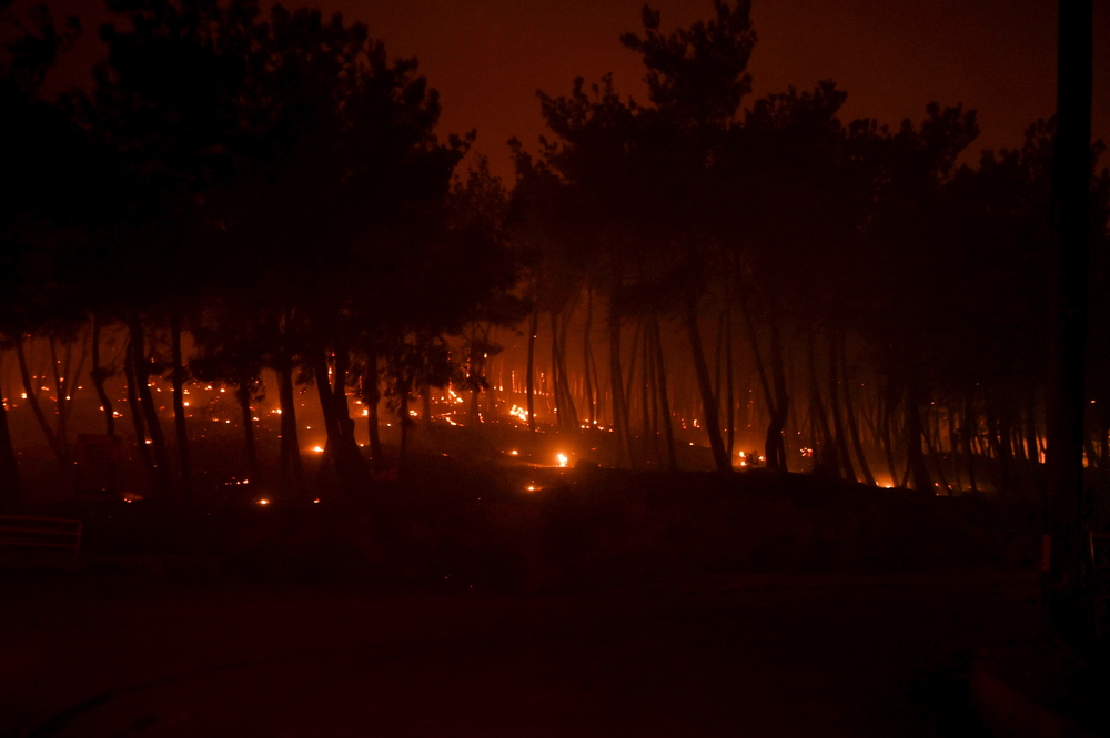 El fuego quema árboles durante un incendio forestal en la aldea de Palagia, al norte de Grecia.  / EFE