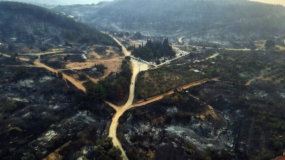 El fuego quema árboles durante un incendio forestal en la aldea de Palagia, al norte de Grecia.  / EFE