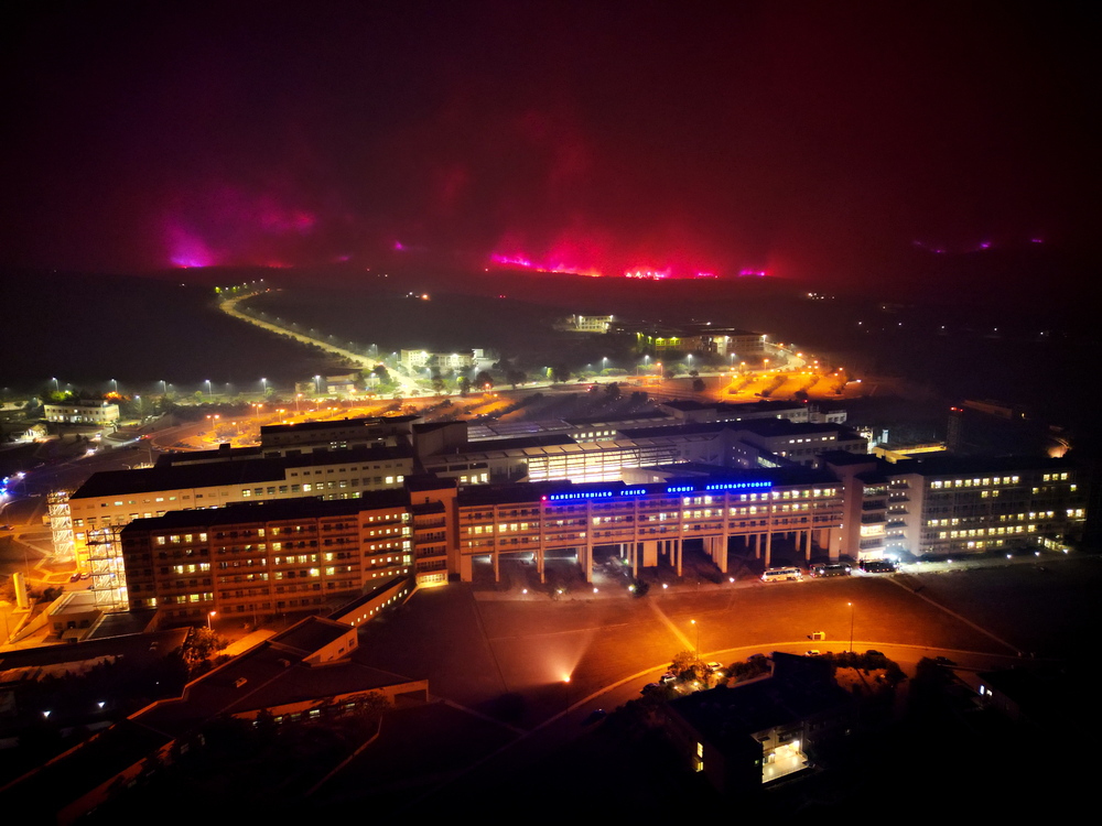 El fuego quema árboles durante un incendio forestal en la aldea de Palagia, al norte de Grecia.  / EFE