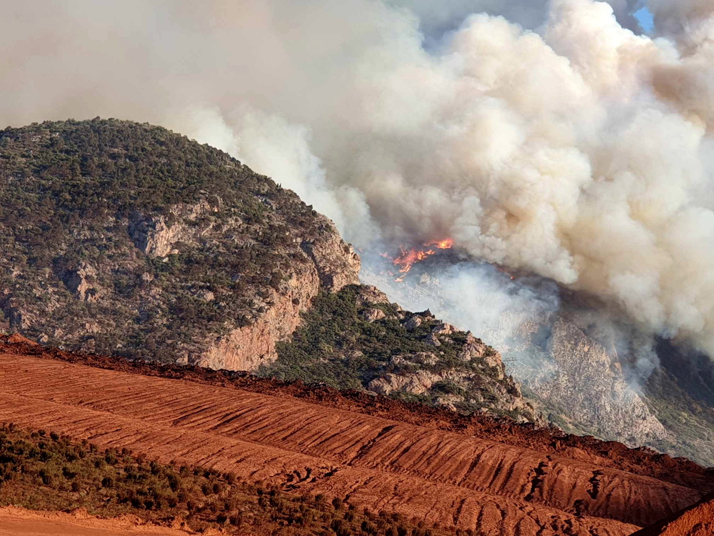 El fuego quema árboles durante un incendio forestal en la aldea de Palagia, al norte de Grecia.  / EFE