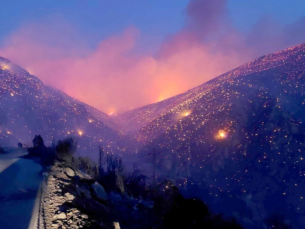 El fuego quema árboles durante un incendio forestal en la aldea de Palagia, al norte de Grecia.  / EFE