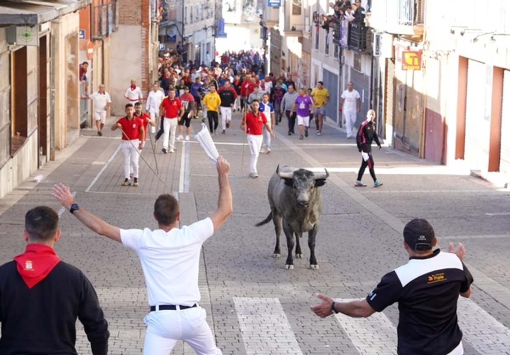 El Día de Segovia