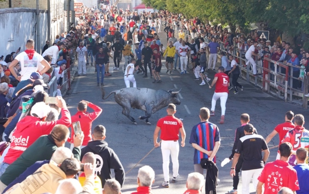 El Día de Segovia