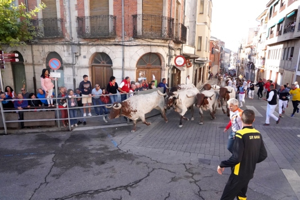 El Día de Segovia