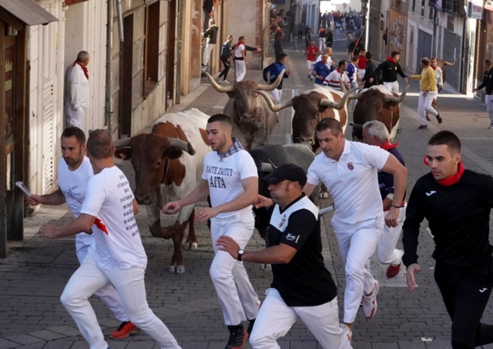 El Día de Segovia