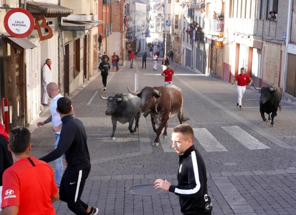 El Día de Segovia