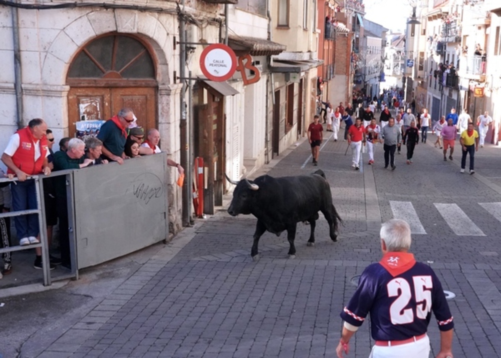 El Día de Segovia