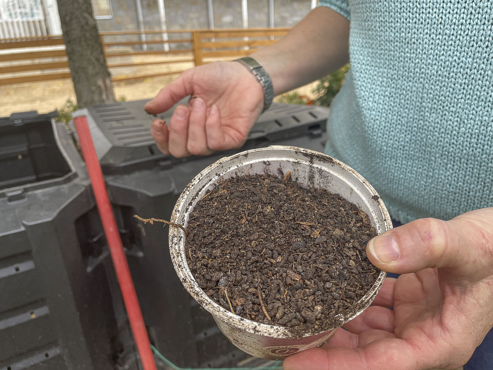 El compost obtenido en este colegio del barrio de La Albuera es de gran calidad.