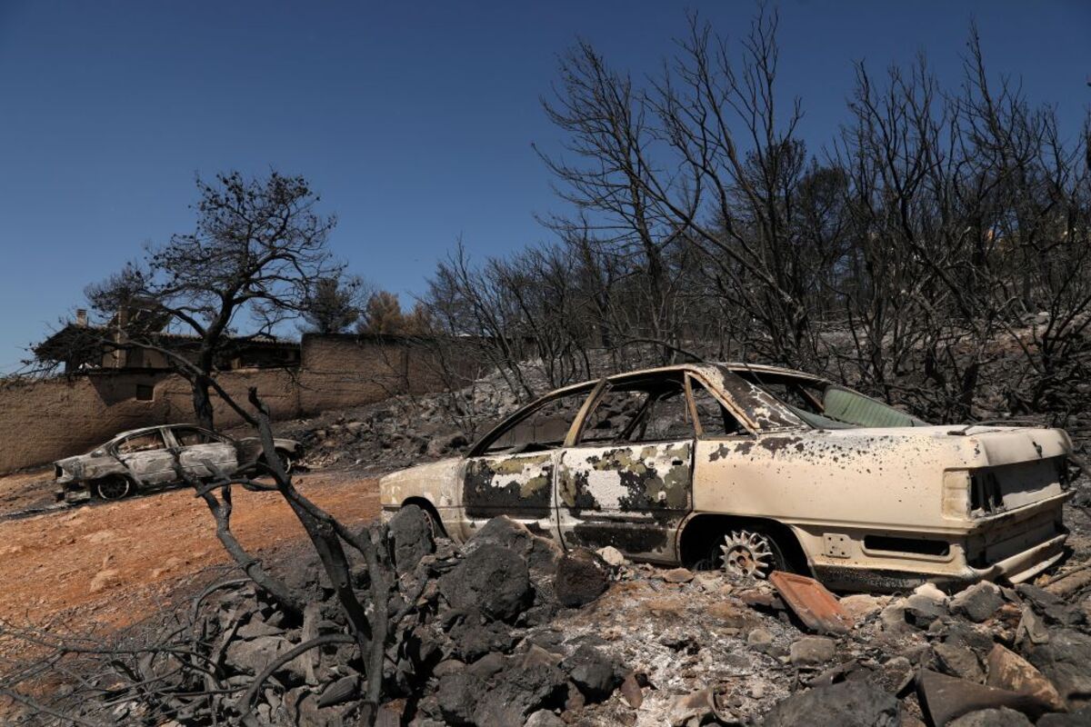 Wildfire in Greece's Attica region  / GEORGE VITSARAS