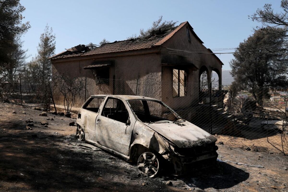 Wildfire in Greece's Attica region  / GEORGE VITSARAS