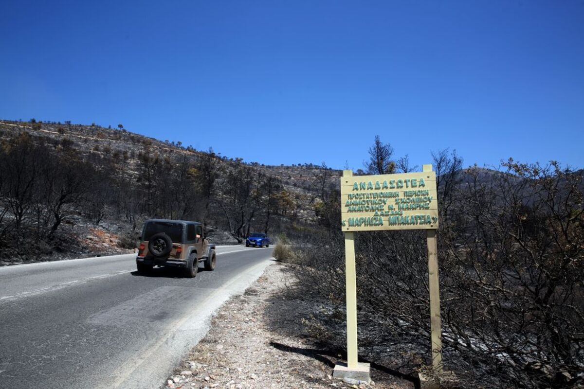 Wildfire in Greece's Attica region  / ALEXANDROS BELTES