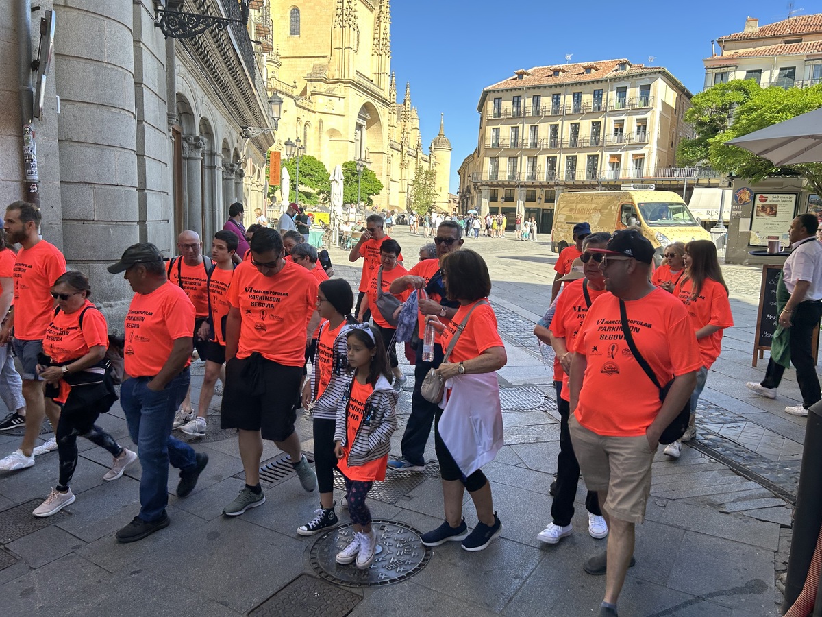 El Día de Segovia