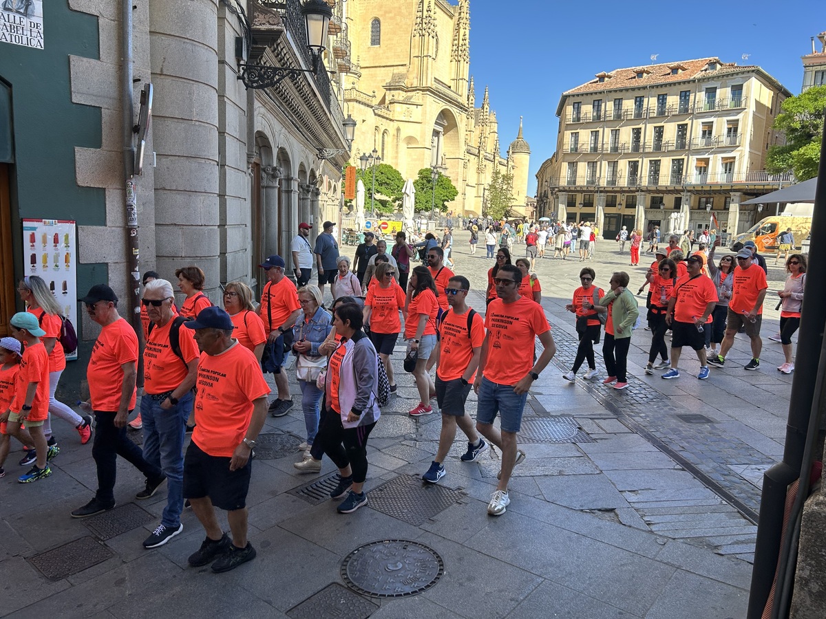 El Día de Segovia