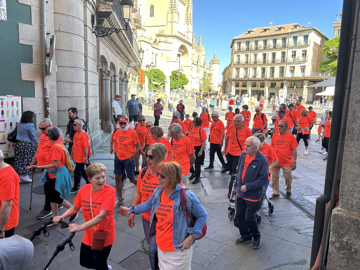 El Día de Segovia