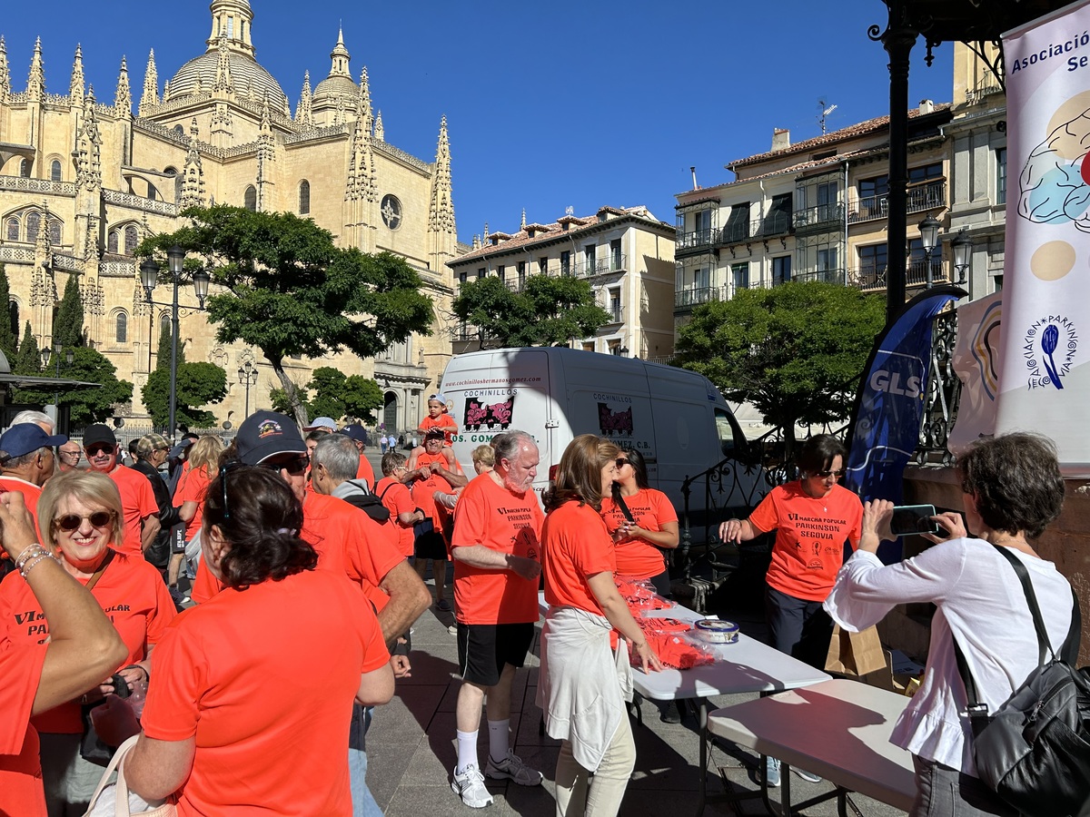 El Día de Segovia