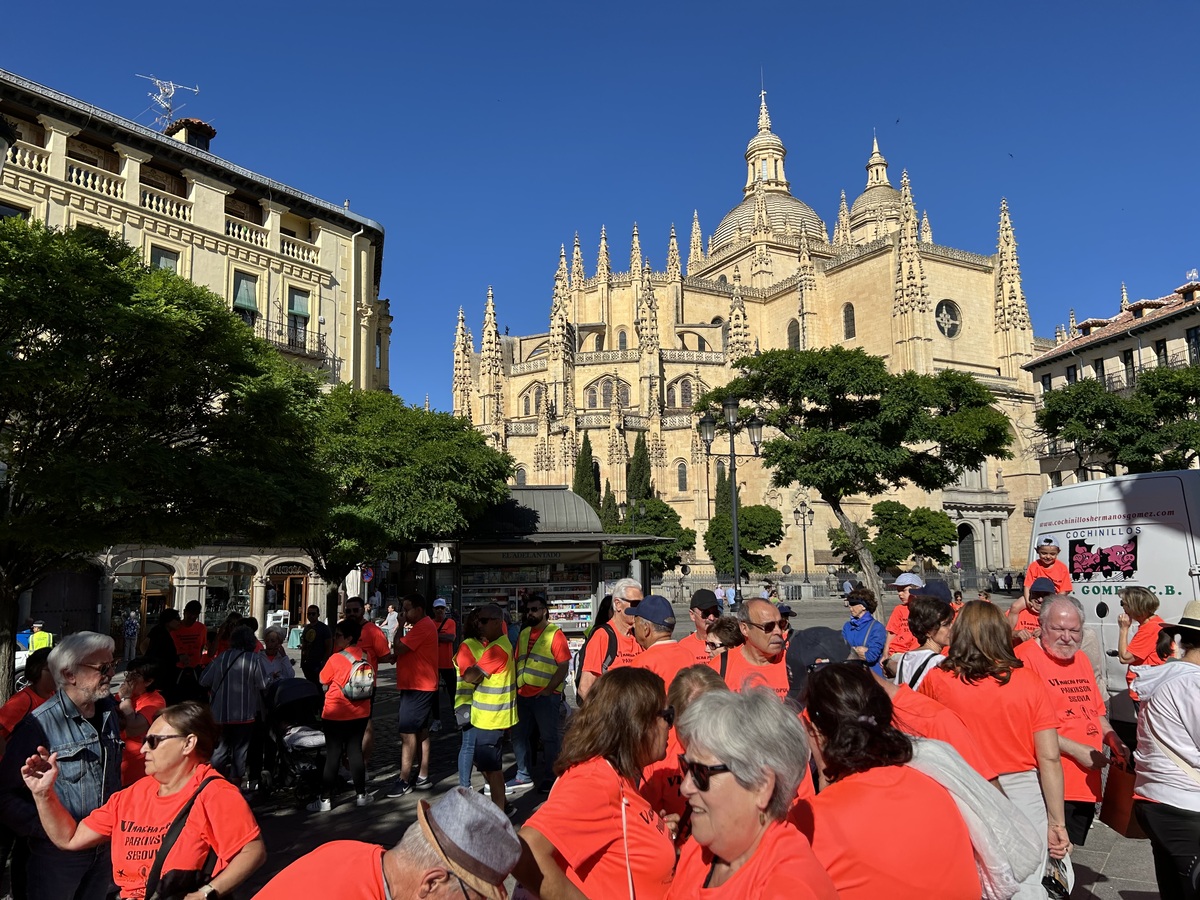 El Día de Segovia