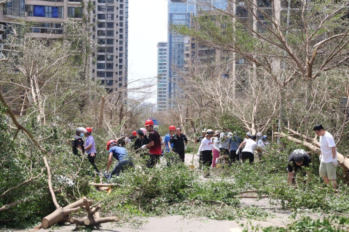 Cleanup operation after typhoon Yagi hit Hainan Province  / XINHUA / ZHANG LIYUN