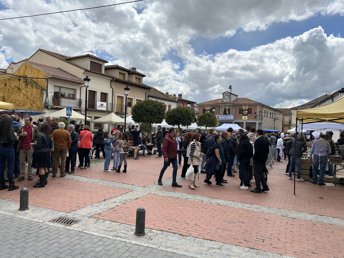 El Día de Segovia