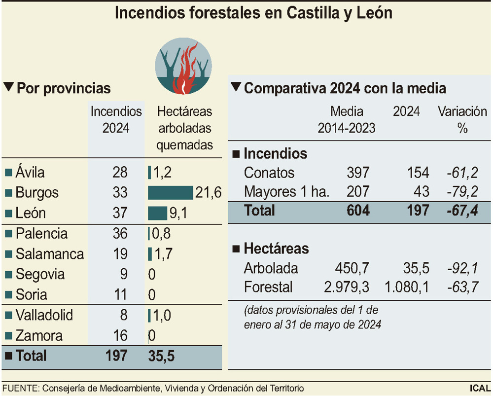 El 80% de incendios registrados hasta mayo fueron conatos