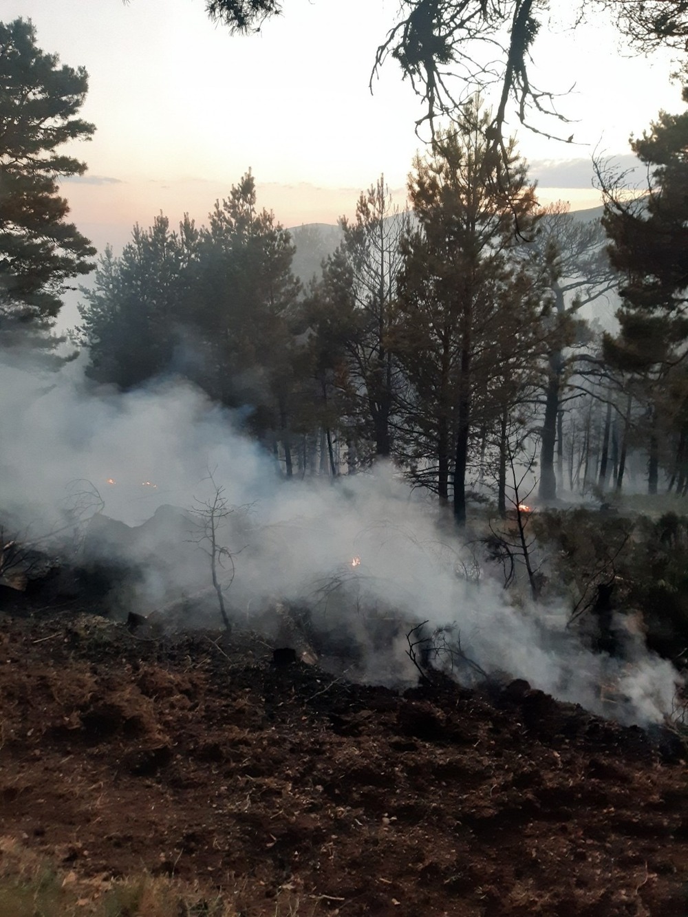 Declarado un incendio de nivel 1 en la Sierra de Guadarrama