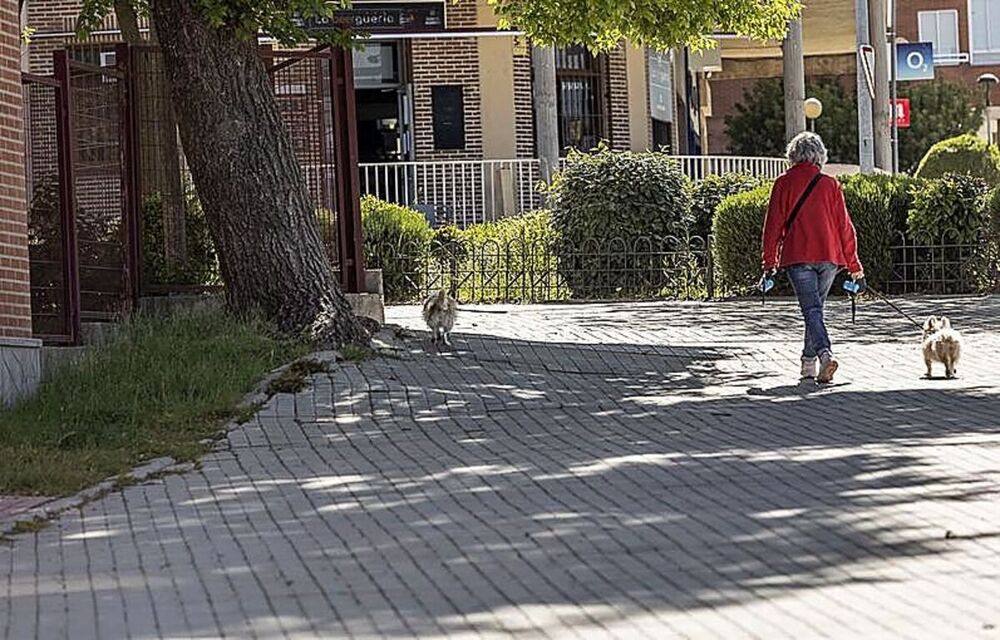 Acera levantada en la calle de Vicente Aleixandre de Nueva Segovia.