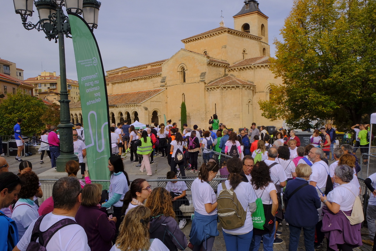 DIEGO GÓMEZ/ FUNDACIÓN CAJA RURAL