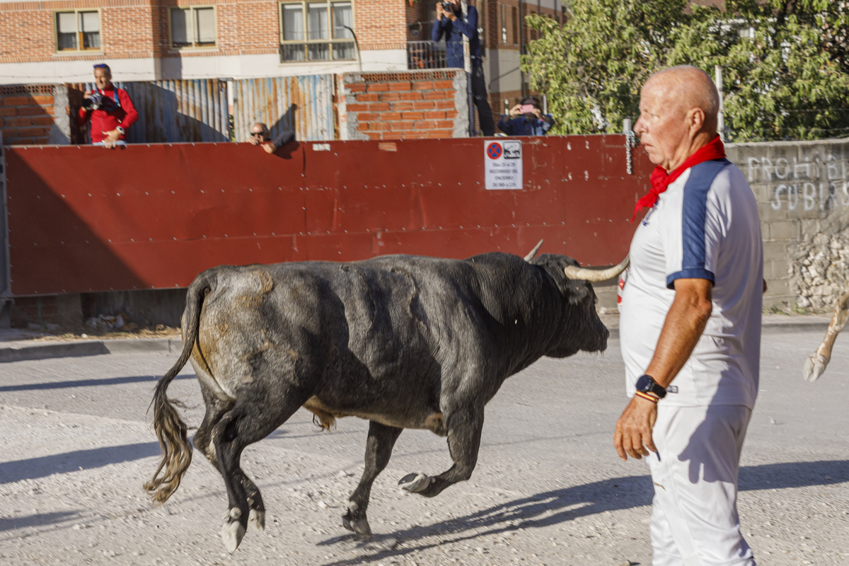 NACHO VALVERDE ICAL