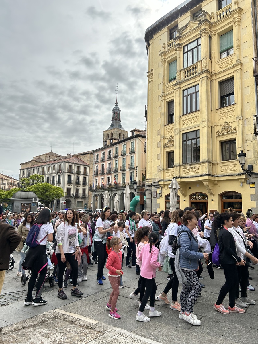 El Día de Segovia