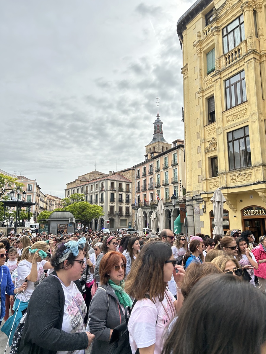 El Día de Segovia