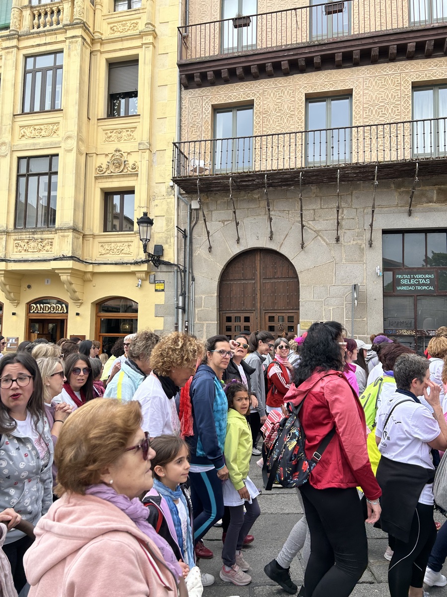 El Día de Segovia