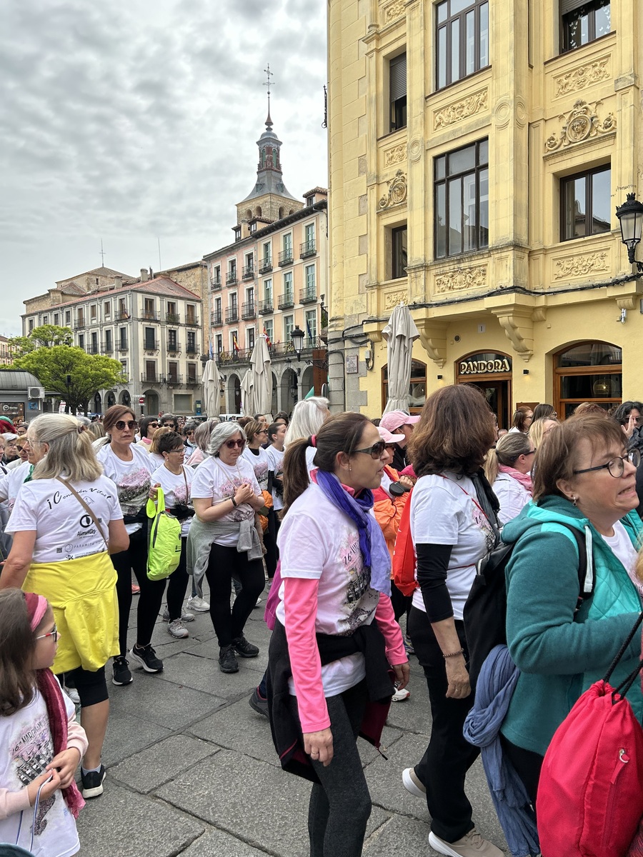 El Día de Segovia