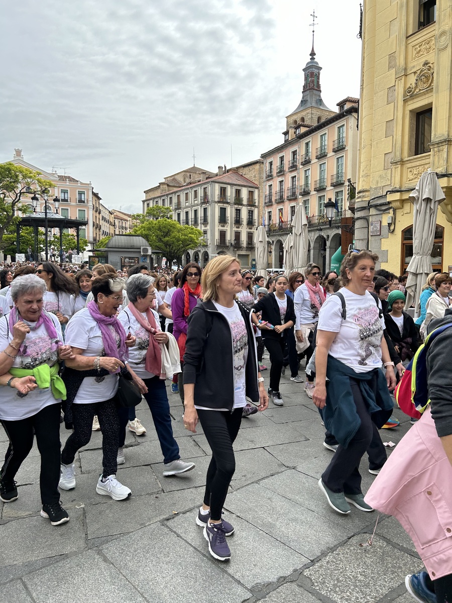 El Día de Segovia