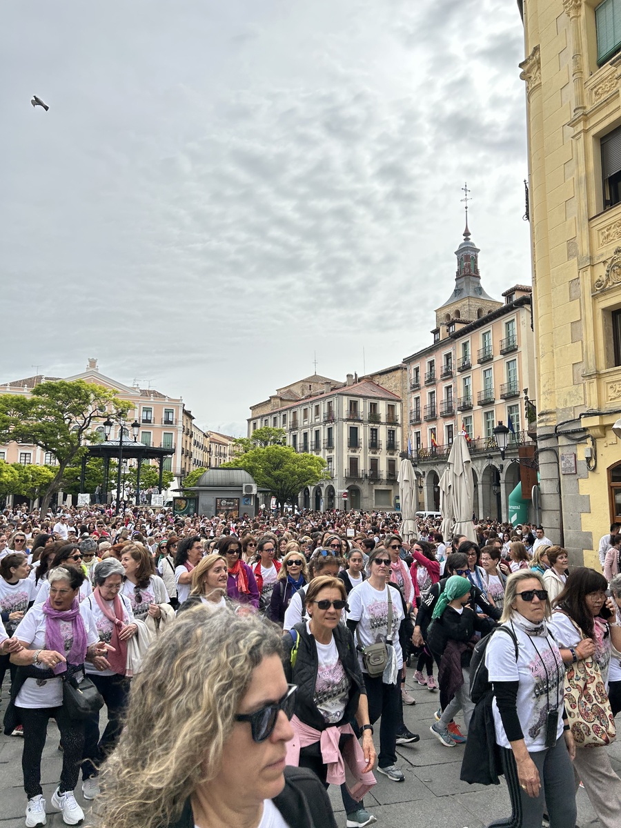 El Día de Segovia