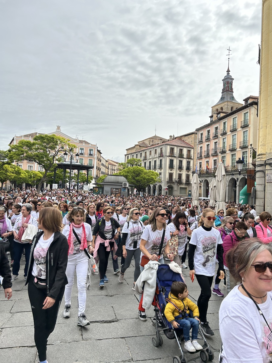 El Día de Segovia