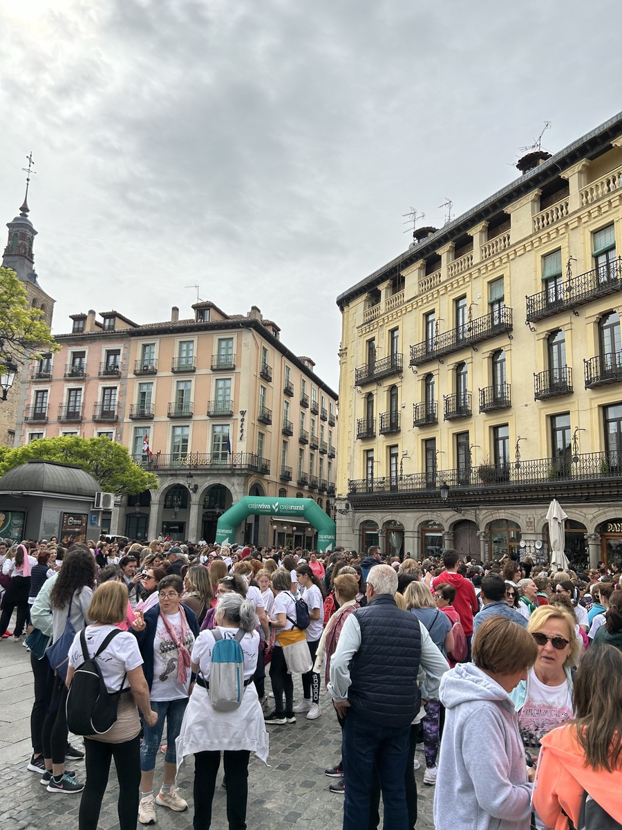 El Día de Segovia