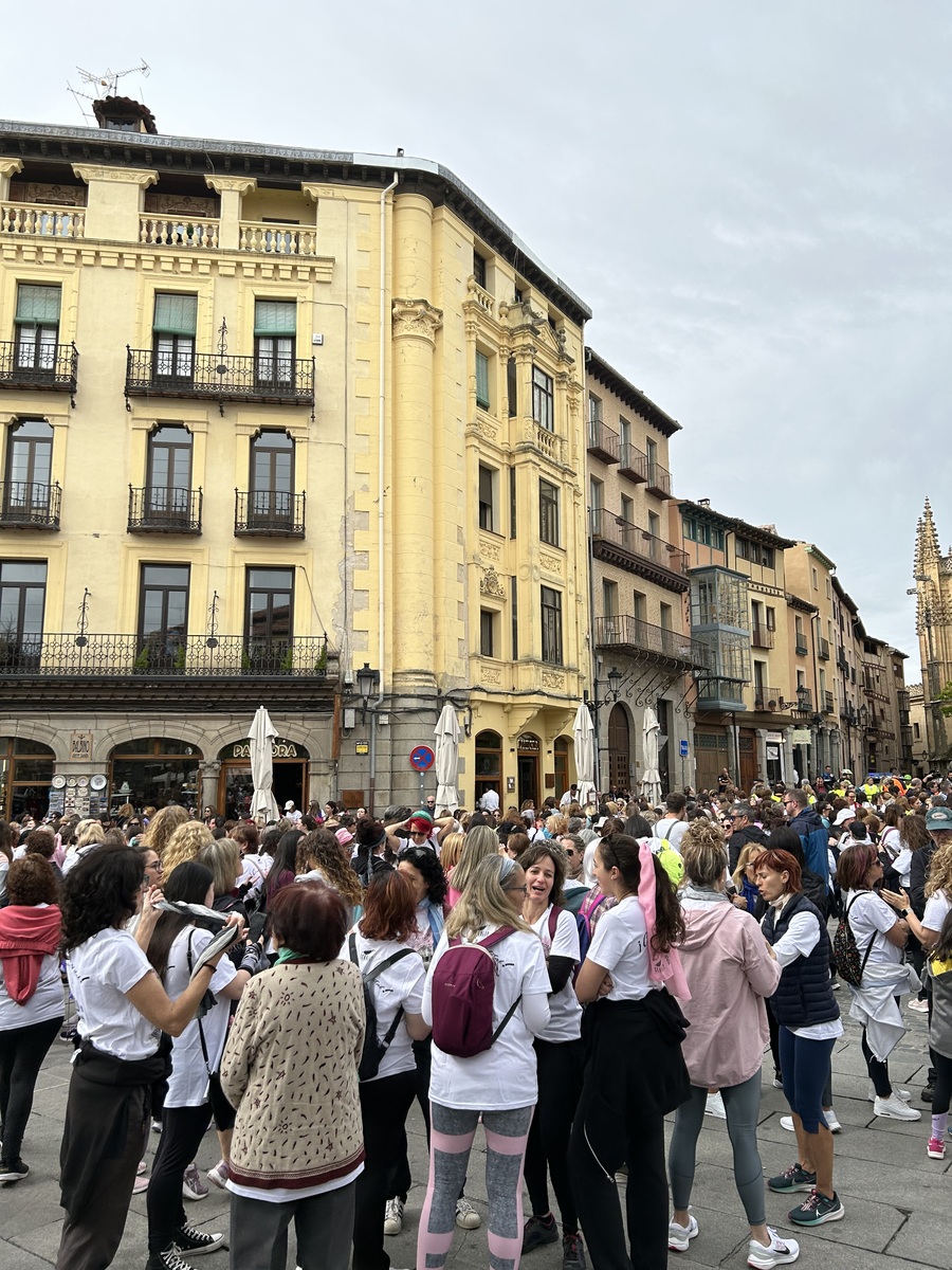 El Día de Segovia