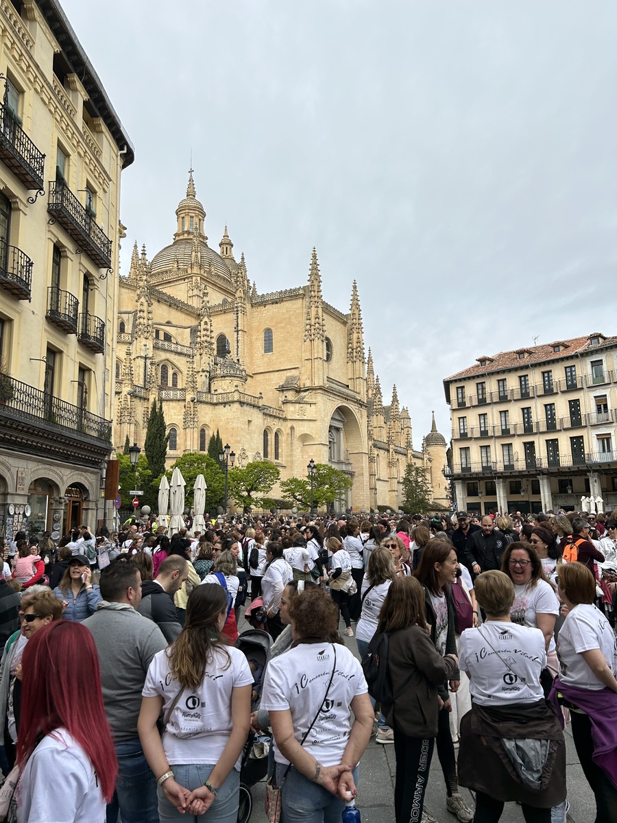 El Día de Segovia