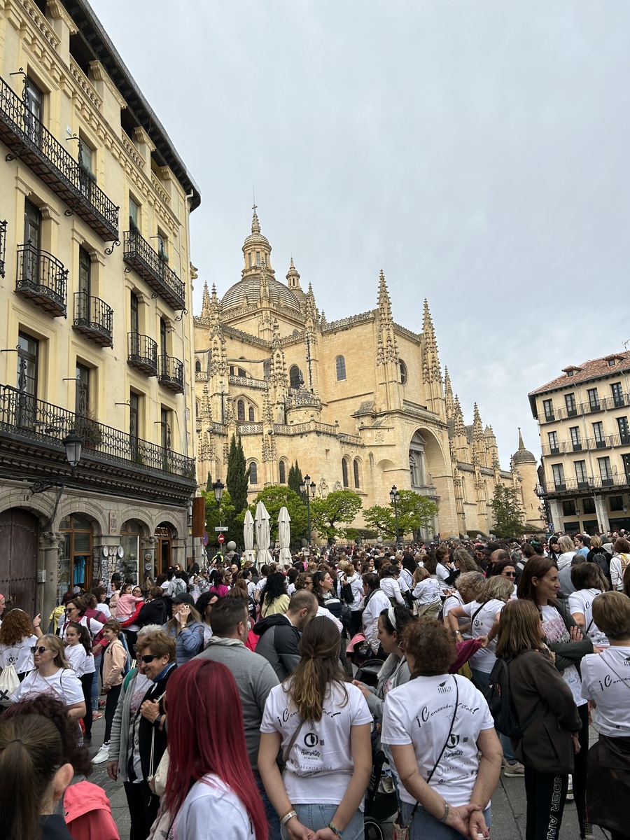 El Día de Segovia