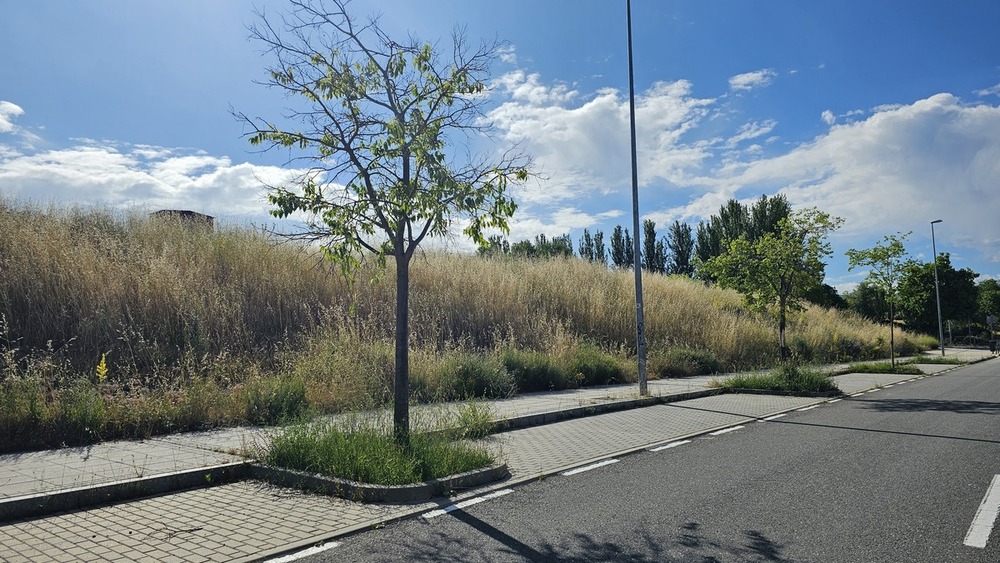 Estado de la vegetación en distintas zonas del municipio esta semana. 