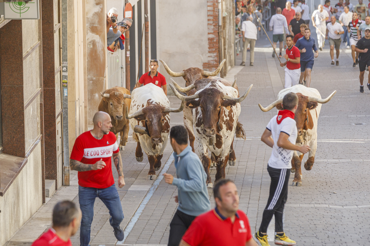 Cuarto de los encierros de Cuéllar  / NACHO VALVERDE ICAL