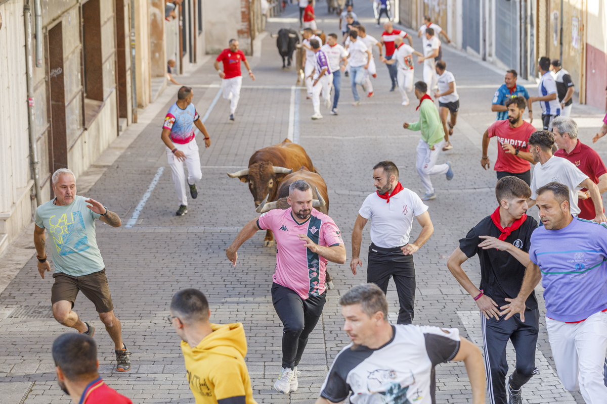 Cuarto de los encierros de Cuéllar  / NACHO VALVERDE ICAL