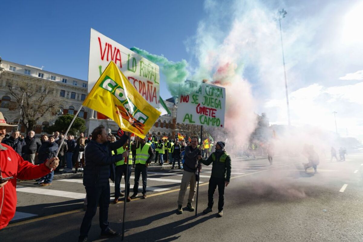 Una tractorada en Madrid y cita clave en la UE: así arranca la tercera semana de protestas  / J.J. GUILLÉN