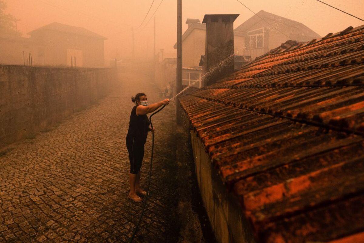 Forest fire in Portugal  / JOSE COELHO