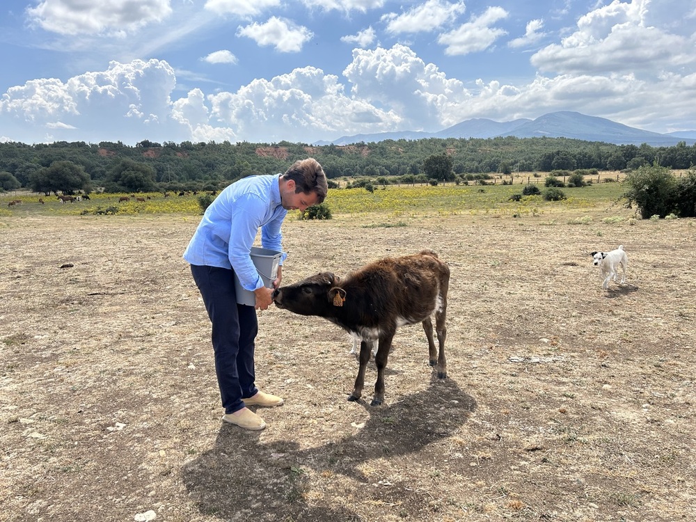 La espera del gran día de Pablo Atienza