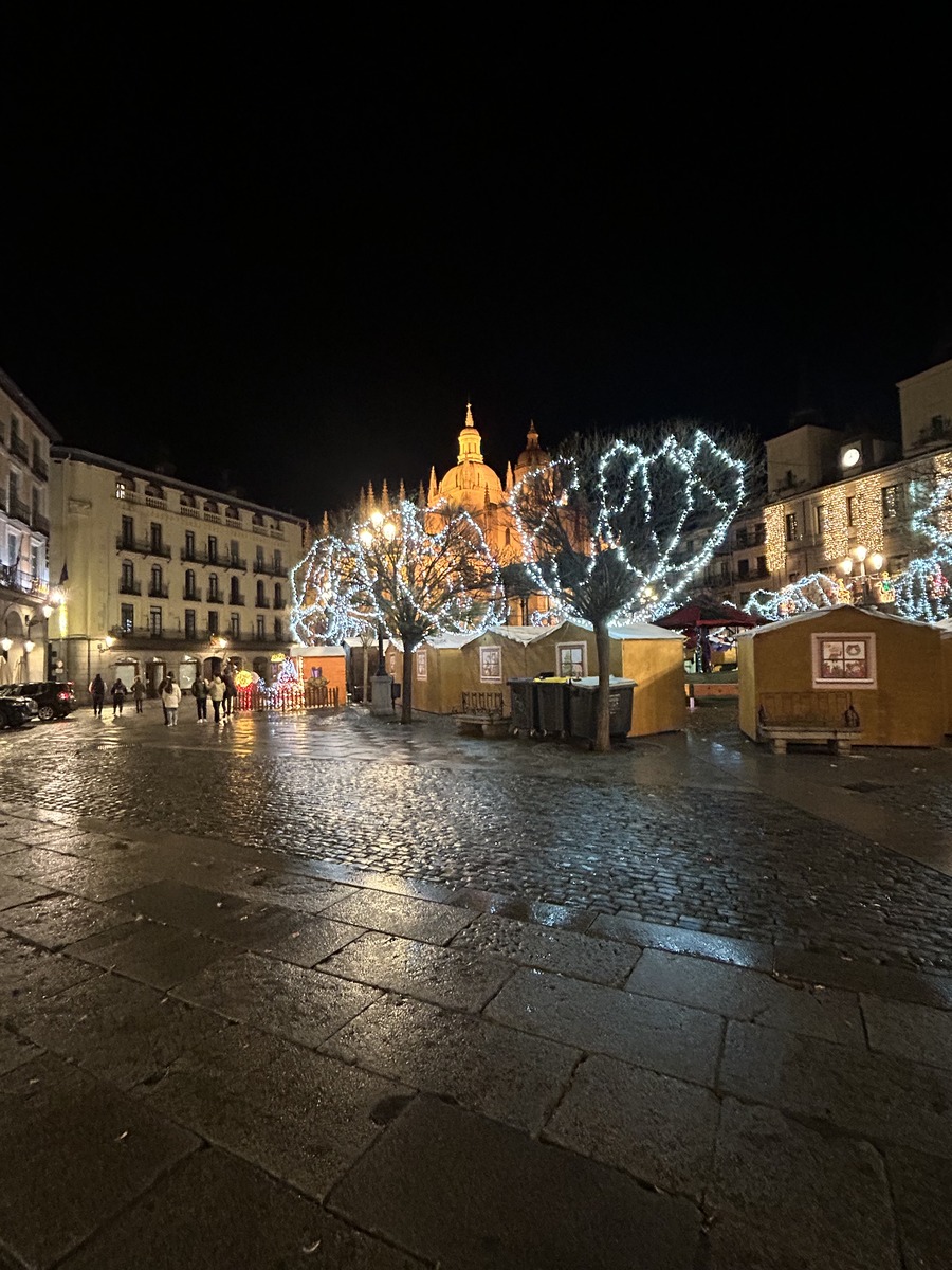 AYUNTAMIENTO DE SEGOVIA