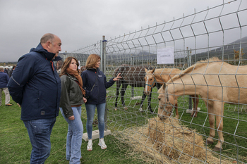 Navafría despide la Feria del Ganado