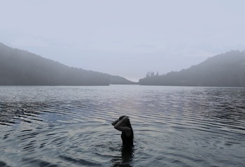 La niebla en Riofrío de Riaza, imagen ganadora de 2024