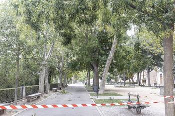 El Ayuntamiento cierra parques y jardines por el viento