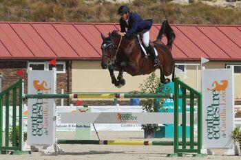 Segovia alberga los campeonatos Yeguadas y Caballos nacionales